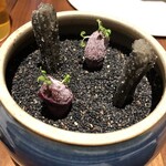 ル スプートニク - 