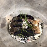 ル スプートニク - 