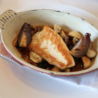 Benoit Alain Ducasse - 