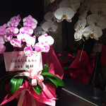 オオクサ - 店内にはお祝いの胡蝶蘭が所狭しと置いてあります
