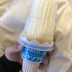 LAWSON - 料理写真: