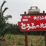 とうふの比嘉 - 右側から来る時の目印