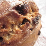 パンクラブ - イチジクのセーグルあっぷ