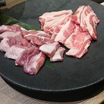 羊肉と串揚げの店 田村 南三条店 - 上生肉ジンギスカン