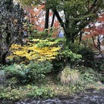 ティールーム Nicol - 