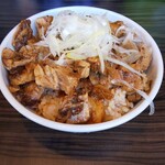 元祖一条流 がんこ総本家 分店 - 