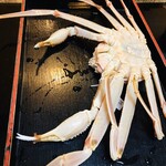 旬魚たつみ 岩美本店 - 圧巻の活松葉蟹(((o(*ﾟ▽ﾟ*)o)))