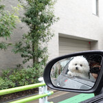 WEE BEE'S - 豊洲に向けて出発