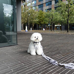 WEE BEE'S - 豊洲キュービックガーデン