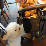 WEE BEE'S - 帰りがけにお会いして・・