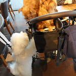 WEE BEE'S - ♡ご挨拶♡