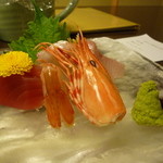 紅梅亭 - お造り