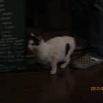 カフェ ランプ - 