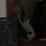 カフェ ランプ - 