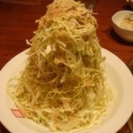 辰っちゃんのホルモン市場 - 大盛りキャベツ