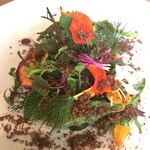 ヴィラ・デラ・パーチェ - 