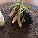 ヴィラ・デラ・パーチェ - 