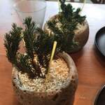 ヴィラ・デラ・パーチェ - 