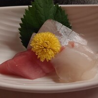 先斗町 四季 よし菜 - 