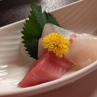 先斗町 四季 よし菜 - 