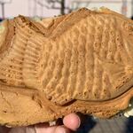 ウッディセブン