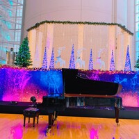 フォルク キッチン オールデイダイニング  - 