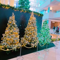 フォルク キッチン オールデイダイニング  - 