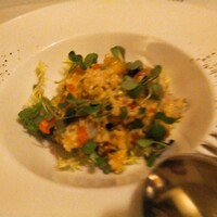 スンガリー 新宿東口本店 - 