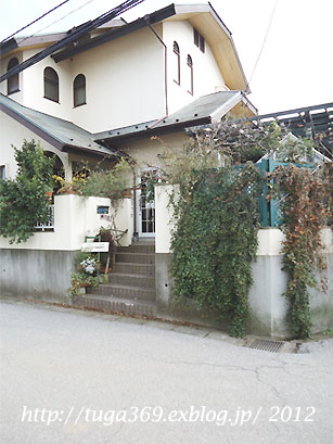 ガーデンティーハウス グリーンパラソル Garden Tea House Green Parasol 柏の葉キャンパス カフェ 食べログ