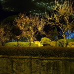 紅梅亭 - お庭には梅の花が・・・ライトアップされて綺麗です♪