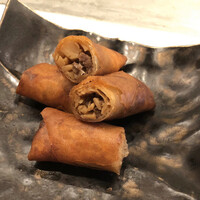 CINA New Modern Chinese - 春巻