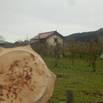 竹林せんべい店 - リンゴ畑をバックに