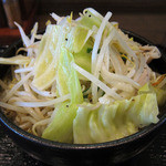 Teuchiudonjosui - しゃきしゃき野菜盛うどん