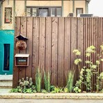 ALTER EGO - メイン写真: