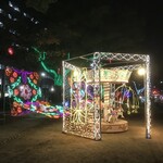 馳走 啐啄一十  - 平和大通りのイリュミネーション