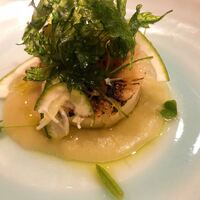 RISTORANTE IL NODO - 