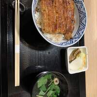 うなぎ 目白ぞろ芽 - 
