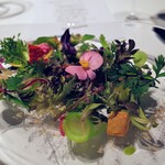 レフェルヴェソンス - 