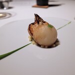 レフェルヴェソンス - 