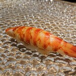 北新地 すし通 - 車海老握り