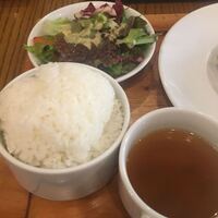 ブラチェリア バーヴァ - 