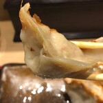 北神ぎょうざ - よく太った餃子