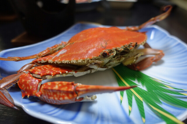 鳥羽大成 大勢 （タイセイ） - 三河鳥羽/料理旅館 | 食べログ
