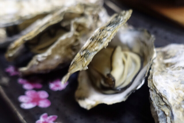 大勢 （タイセイ） - 三河鳥羽/料理旅館 | 食べログ