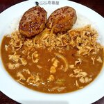 CoCo壱番屋 - 豚しゃぶカレー500g/2辛/ﾊﾝﾊﾞｰｸﾞ