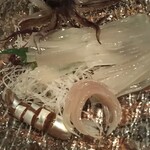 函館海鮮料理 海寿 - 