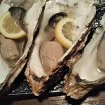 函館海鮮料理 海寿 - 