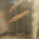 函館海鮮料理 海寿 - 