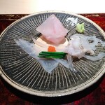菊鮨 - 河豚