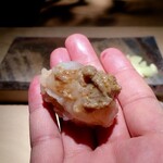 菊鮨 - 伊勢海老